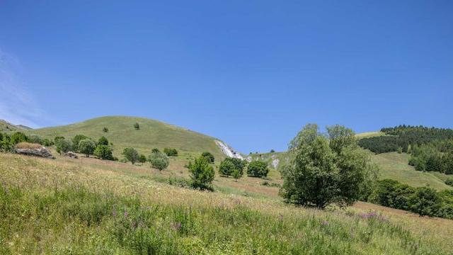Appartement Les Marmottes N°34 - 3P6 - Saint Sorlin d'Arves