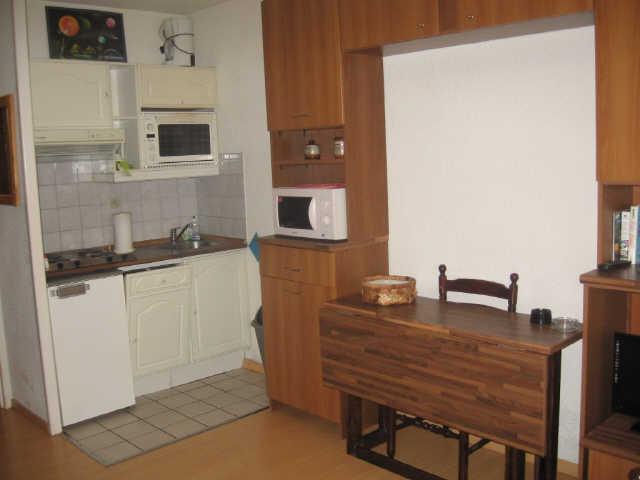 LOU VENO 47977 - Les Deux Alpes Venosc