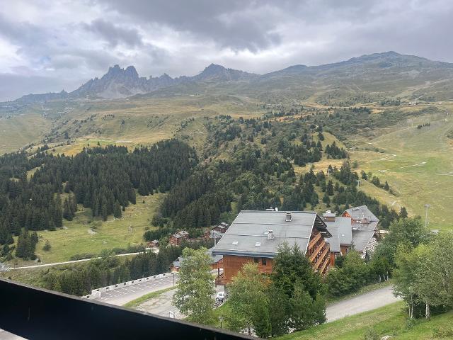 Appartement Aiguille du fruit - Méribel Mottaret 1850