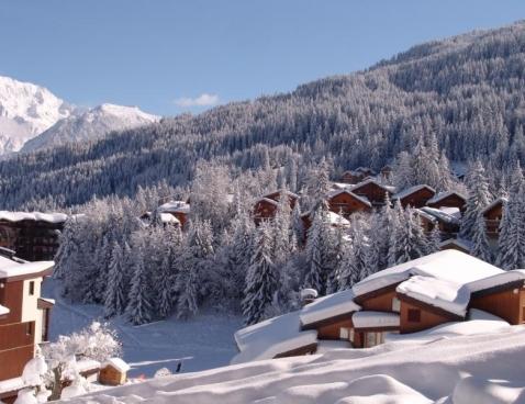 Les Chalets de la Tania DEB - La Tania