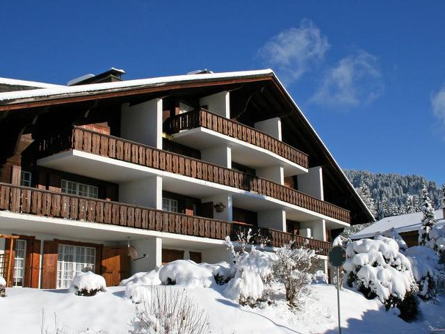 Châlet Le Mont Blanc 14 - Villars - sur - Ollons 