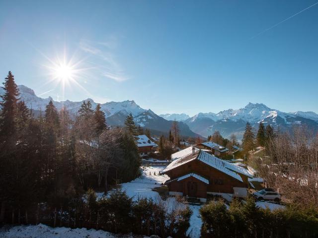 Châlet Le Mont Blanc 14 - Villars - sur - Ollons 