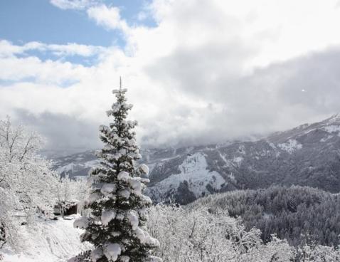 Appartement Lou Rouchas - Praloup