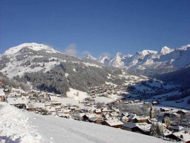 Fougère - Le Grand Bornand