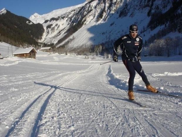 Fougère - Le Grand Bornand