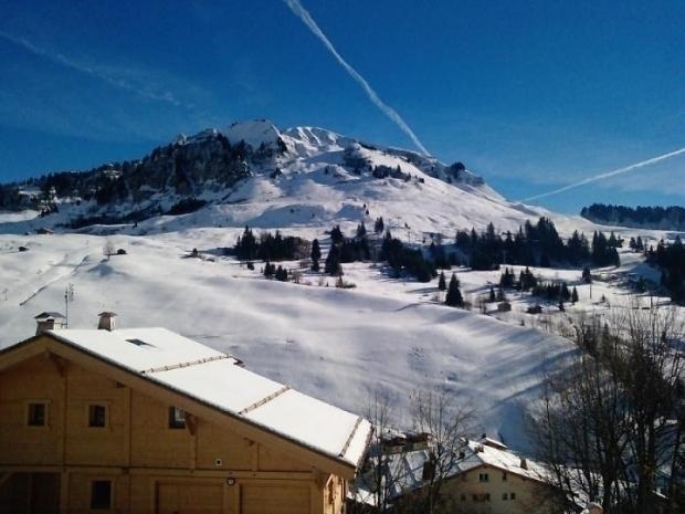 Roches Fleuries 1 - Le Grand Bornand