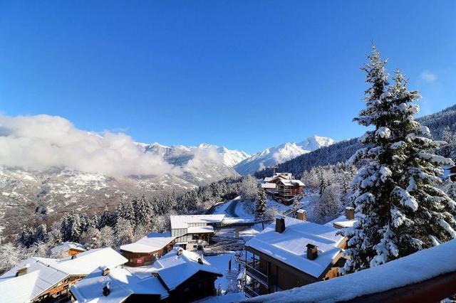 Appartements GRAND BOIS A - La Tania