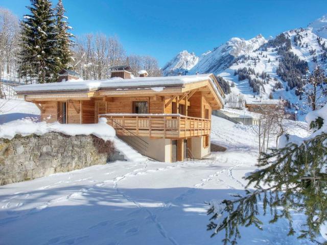 Chalet HELIOS LODGE - La Clusaz