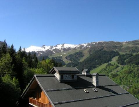 LA FRASSE/303 - Méribel Centre 1600 