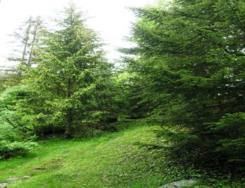 LES DIABLERETS/4 - Méribel Centre 1600 