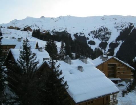 LE CIRSE/117 - Méribel Centre 1600 