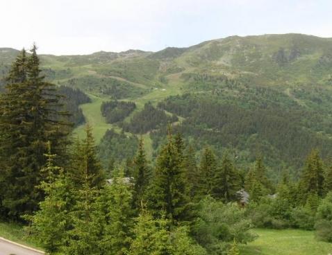 LA FORET/19 - Méribel Centre 1600 