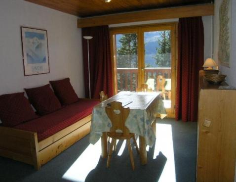 LE CIRSE/105 - Méribel Centre 1600 