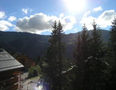 LE CIRSE/105 - Méribel Centre 1600 