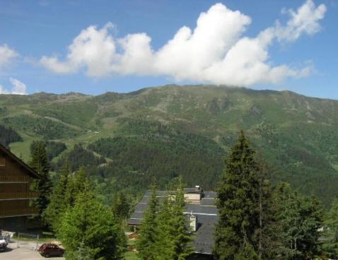 LES MERISIERS/117 - Méribel Centre 1600 