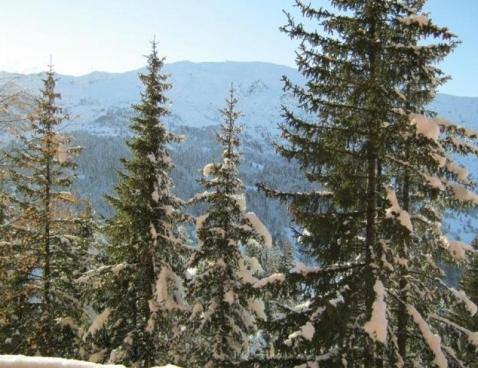 LES CHANDONNELLES II/104 - Méribel Centre 1600 