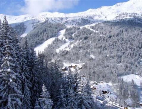 POLSET - EN GARNET/232 - Méribel Centre 1600 