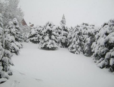 LES PRESLES/11 - Méribel Centre 1600 