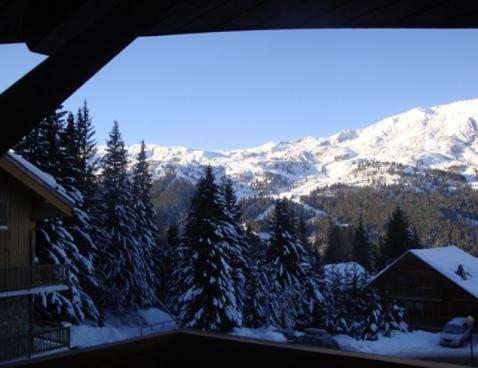 LE CHRISTMAS/204 - Méribel Centre 1600 