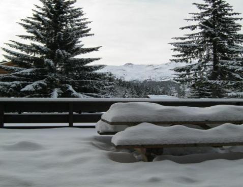 LE GRAND-SUD/17 - Méribel Centre 1600 