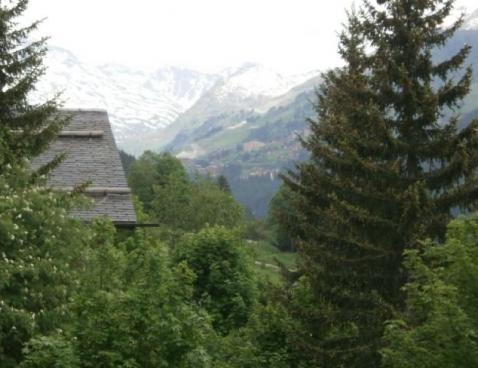 LES GRANDS-SORBIERS/14 - Méribel Centre 1600 