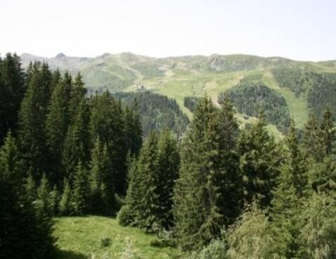 L'OURS BRUN/9 - Méribel Centre 1600 