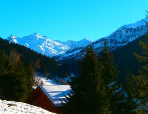 LE VALLON/1 - Méribel Centre 1600 