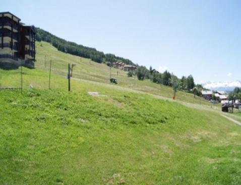 LES CHOUCAS/343 - Plagne Montalbert