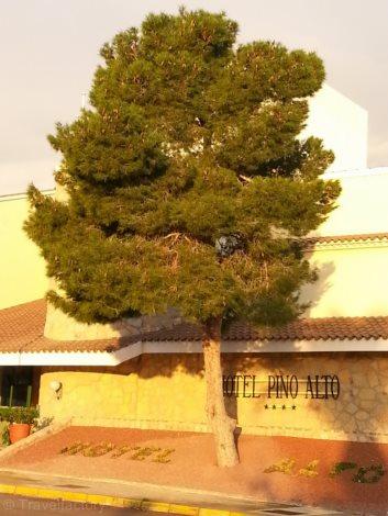 Hôtel Pino Alto 4* - Miami Playa