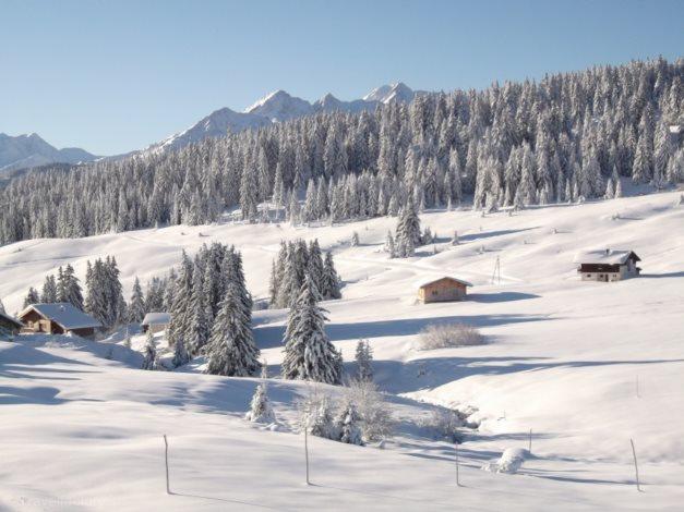 Appartements Chalets Joguet Haut de la Station - Les Saisies