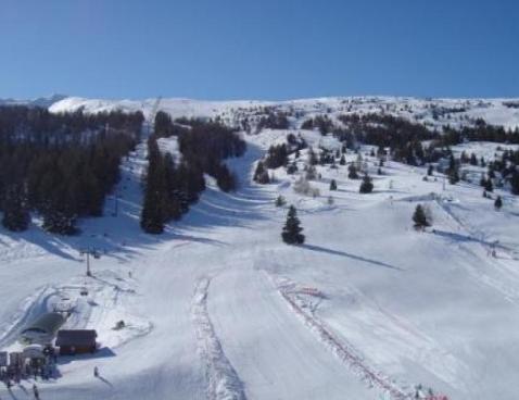 BOIS D'AUROUZE SUPERDEVOL/121 - Superdévoluy