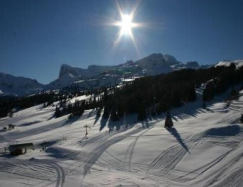 BOIS D'AUROUZE SUPERDEVOL/6 - Superdévoluy