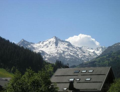 LES BRIMBELLES/21 - Méribel Centre 1600 