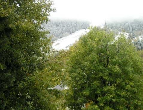 L'EDELWEISS/10 - Méribel Centre 1600 