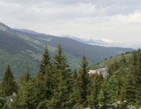 LES PRESLES/37 - Méribel Centre 1600 