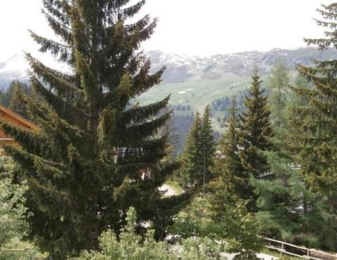 LE GRAND-SUD/107 - Méribel Centre 1600 