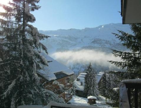 LE CIRSE/201 - Méribel Centre 1600 