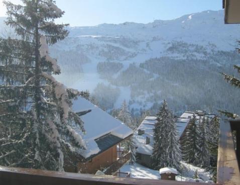 LE CIRSE/204 - Méribel Centre 1600 