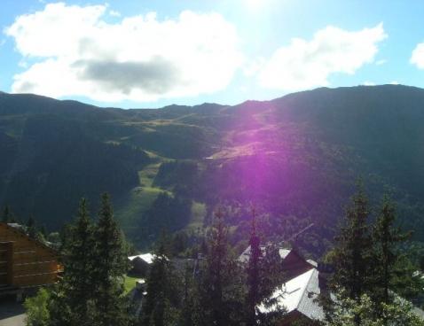 LE CIRSE/121 - Méribel Centre 1600 