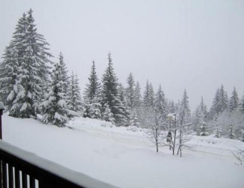 LA FORET/5 - Méribel Centre 1600 