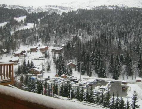 LE PETARU/102 - Méribel Centre 1600 