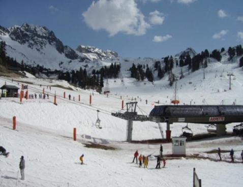 LES GLACIERS/327 - Plagne Bellecôte