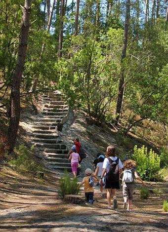 Village Club Pierre et Vacances Forfait Famille - Lacanau