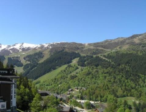 LA FRASSE/318 - Méribel Centre 1600 