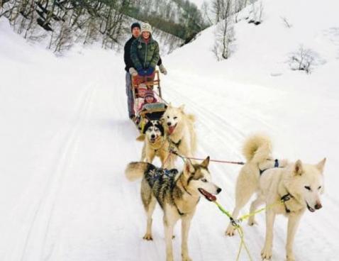 Pierre et Vacances Le Quartz - Plagne - Belle Plagne