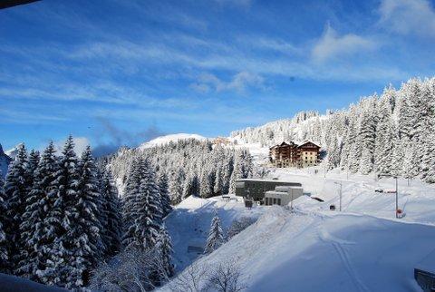 Appartements ARCHE - Flaine Forêt 1700