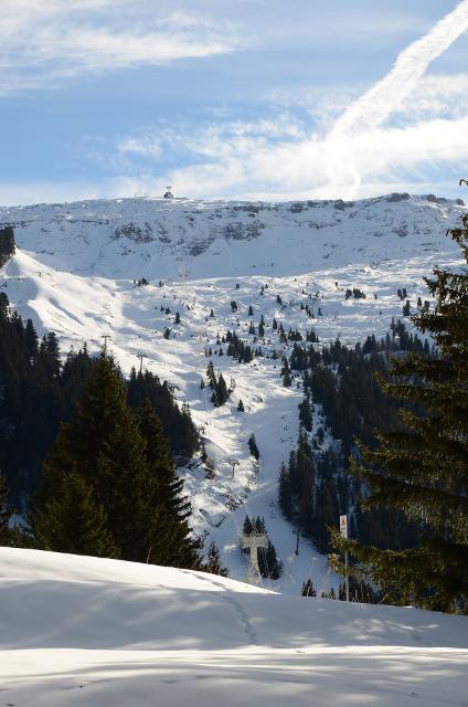 Appartements BELIER - Flaine Forêt 1700