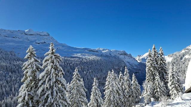 Appartements CASTOR - Flaine Forêt 1700