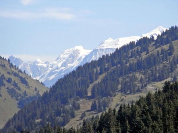 Les Maisons Des Bois - La Clusaz