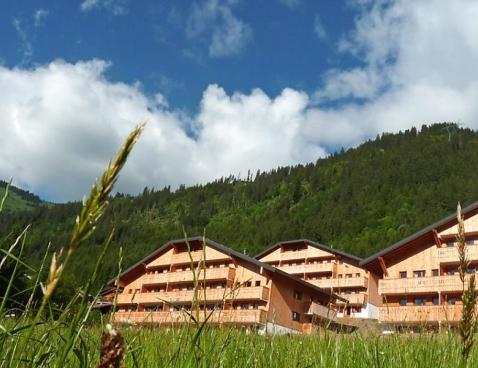 Le Grand Lodge - Châtel